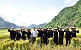 Quỳnh Sơn: Dấu ấn Việt Nam trên bản đồ “Làng Du lịch tốt nhất thế giới”