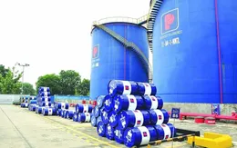 Duy trì thuế môi trường thấp: Lợi ích kinh tế và bài toán phát triển xanh