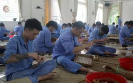 Đến hết năm 2030 ít nhất 50% đơn vị hành chính cấp xã "không ma tuý"