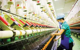 Thể chế bứt phá, tăng trưởng bứt tốc