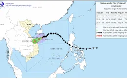 Bão số 12 giật cấp 12, cảnh báo ngập sâu khu vực Quảng Trị đến Đà Nẵng