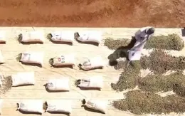 VCCI kiến nghị tháo gỡ vướng mắc thuế giá trị gia tăng cho nông sản