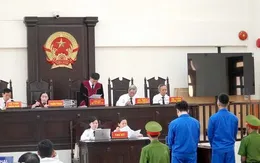 Thủ tướng Chính phủ ban hành Kế hoạch xây dựng dự án Bộ luật Hình sự (sửa đổi)