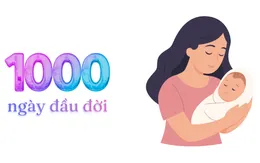 Dinh dưỡng 1.000 ngày đầu đời: Nền tảng cho tầm vóc và trí tuệ của trẻ trong tương lai