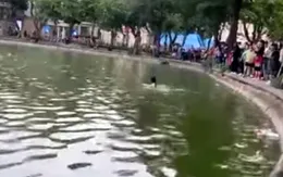Hà Nội: Cô gái trẻ đuối nước tử vong ở hồ Hoàn Kiếm