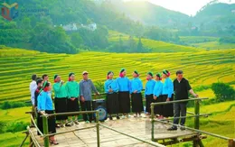 Quảng Ninh: Sẽ Khai hội Mùa vàng miền soóng cọ xã Đông Ngũ vào đầu tháng 11