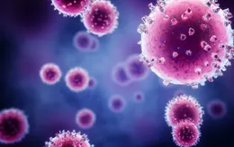 Virus hợp bào hô hấp RSV "thầm lặng" gây nguy hiểm cho cả người già và trẻ nhỏ