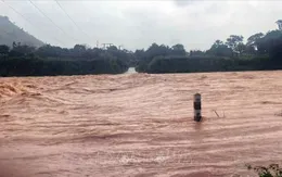 Quảng Trị triển khai tìm kiếm một người dân bị mất tích