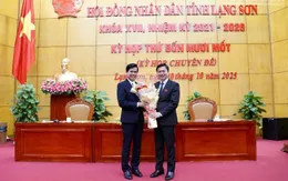 Phê chuẩn kết quả bầu, miễn nhiệm chức vụ Phó Chủ tịch UBND tỉnh Lạng Sơn