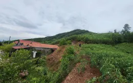 Quảng Trị: Công bố khẩn cấp sạt lở nghiêm trọng tại xã miền núi Tuyên Phú