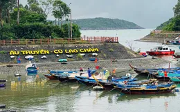 Ngư dân Cù Lao Chàm phấn khởi đón mẻ lưới cá trích đầu mùa sau bão lũ