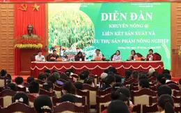 Kết nối sản xuất - tiêu thụ: Hướng đi bền vững cho nông nghiệp cơ sở