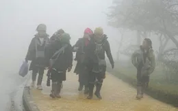 Thời tiết ngày 1/11: Vùng núi Bắc Bộ trời rét, từ Nam Nghệ An đến Quảng Ngãi vẫn mưa to