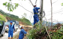 Đà Nẵng: Tổng lực vào cuộc khôi phục cấp điện nhanh và an toàn nhất cho người dân vùng lũ