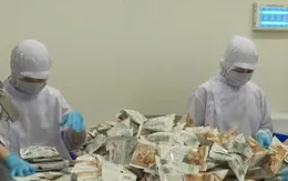 Doanh nghiệp bắt đầu sản xuất hàng Tết