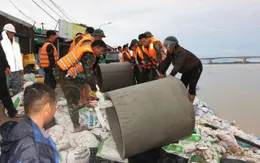 Đà Nẵng: Sư đoàn 315 chủ động giúp dân ứng phó bão số 13