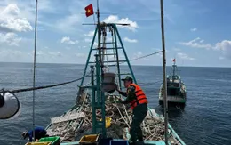 Liên tục phát hiện, xử lý nhiều tàu cá vi phạm quy định khai thác thủy sản