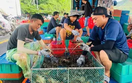 Người dân Đắk Lắk tất bật chằng chống nhà cửa, thu hoạch tôm hùm bán chạy bão số 13