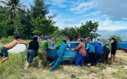 Đắk Lắk: Quân dân đồng loạt ra quân, triển khai các biện pháp ứng phó bão khẩn cấp