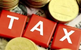 Đẩy nhanh khảo sát hộ kinh doanh phục vụ quản lý thuế