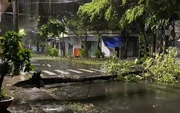 Những hình ảnh thiệt hại trong tâm bão số 13 tại Gia Lai, Đắk Lắk