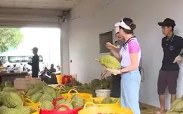 Chuỗi cung ứng minh bạch - "Chìa khóa" vào thị trường châu Âu