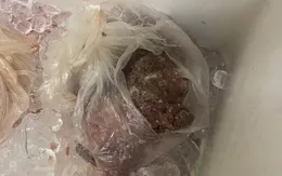 Hà Nội: Công an vào cuộc vụ phụ huynh trường tiểu học phát hiện bếp ăn có thực phẩm nghi ôi thiu