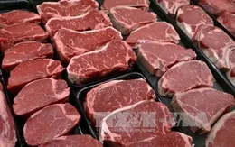 Mỹ điều tra các tập đoàn chế biến thịt lớn vì nghi ngờ thao túng giá thịt bò