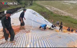 Huy động hàng trăm ngươi ứng cứu hồ thủy lợi Cay An trước nguy cơ vỡ đập