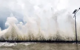 Từ Quảng Ninh đến Đắk Lắk chủ động ứng phó với bão gần Biển Đông