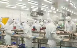 Bảo đảm nguồn cung, bình ổn thị trường hàng hóa mùa mưa bão và cuối năm