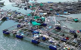 Đắk Lắk: Khó khăn chồng chất tại các làng biển bị thiệt hại do bão