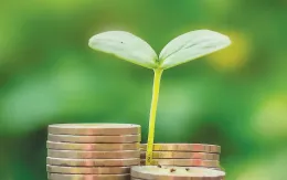 Tín dụng xanh và dòng vốn ngoại: Cơ hội cho thị trường Việt Nam