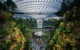 Singapore áp dụng phụ phí nhiên liệu xanh