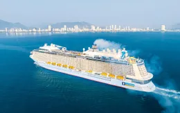 Khánh Hòa phục hồi mạnh mẽ du lịch tàu biển quốc tế