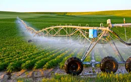 Doanh nghiệp Việt: Sống còn trong "làn sóng xanh" toàn cầu