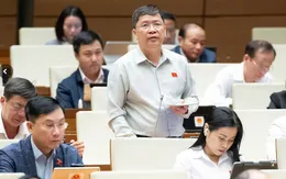 Trụ cầu sông Lô trơ lõi thép, trách nhiệm thuộc về ai?