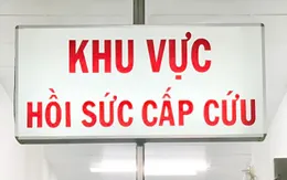 Cứu sống người bệnh xơ gan, viêm bể thận nguy kịch