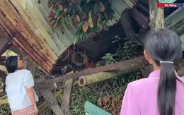 Nguy cơ sạt lở chực chờ, nhiều gia đình ở miền núi Đà Nẵng phải sơ tán