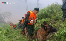 Vụ sạt lở ở Đà Nẵng: Chó nghiệp vụ được huy động tìm kiếm nạn nhân mất tích