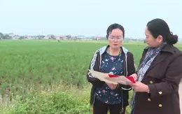 Ninh Bình: Nhiều hộ dân chờ 10 năm vẫn chưa được cấp lại sổ đất ruộng