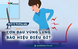 Cơn đau vùng lưng báo hiệu điều gì?