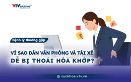 Vì sao dân văn phòng và tài xế dễ bị thoái hóa khớp?