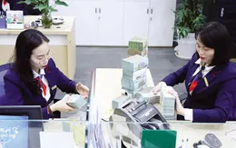 Sắp xếp tổ chức Đảng trong các tập đoàn kinh tế, tổng công ty, ngân hàng thương mại Nhà nước