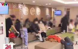 Dịch cúm bùng phát sớm và mạnh tại Hàn Quốc