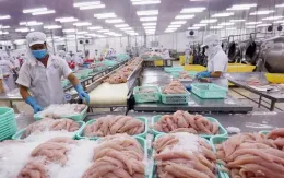 Xuất khẩu thủy sản cả năm dự báo đạt 10,5 tỷ USD