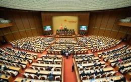 Ngày 21/11, trình Quốc hội dự án Luật Trí tuệ nhân tạo