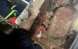 Cứu hộ đục tường, kịp thời giải cứu bé gái bị vùi lấp do sạt lở đất ở Lâm Đồng