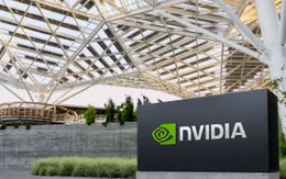 Chứng khoán Mỹ tăng điểm trước báo cáo lợi nhuận của Nvidia