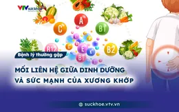 Mối liên hệ giữa dinh dưỡng và sức mạnh của xương khớp